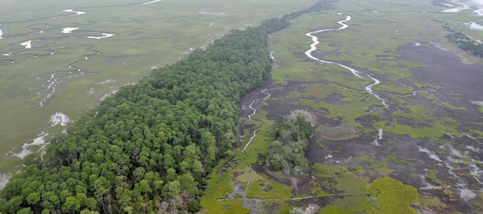 Aerial photo of a landscape with rivers and a forest line of trees running though.